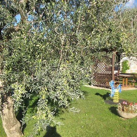 Margherita Aparthotel Brenzone sul Garda