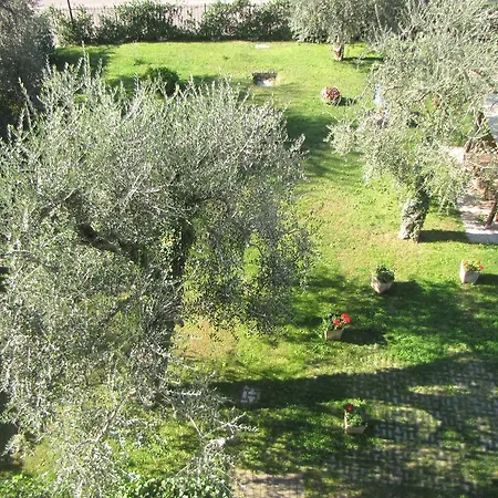 Margherita