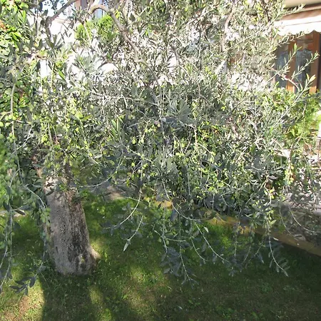 Margherita Brenzone sul Garda