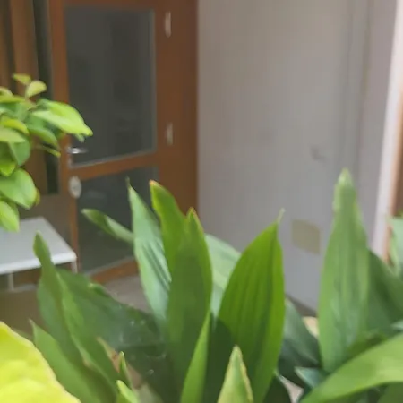 Aparthotel Margherita